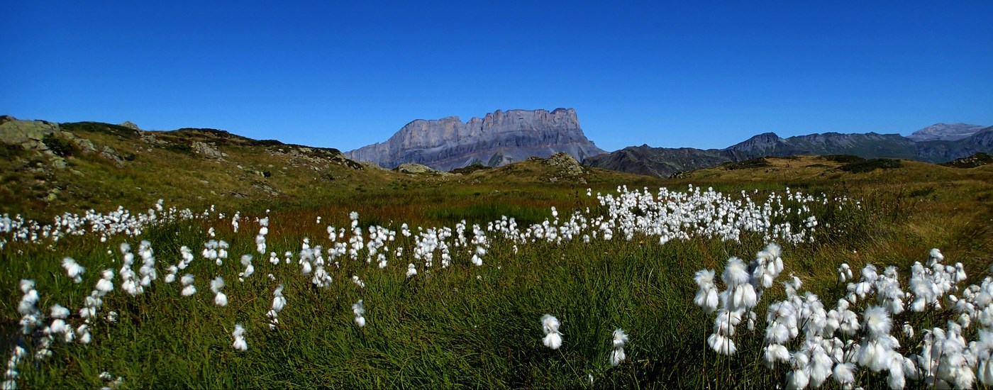 aiguillette des houches.jpg